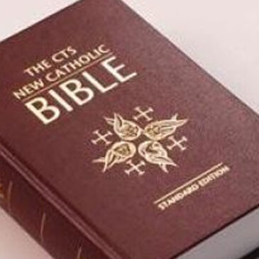 Bible Reading